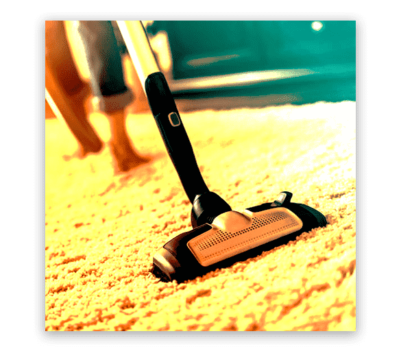 Professional Carpet Cleaning Seaford